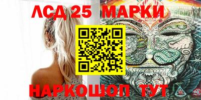 молекула духа Донской