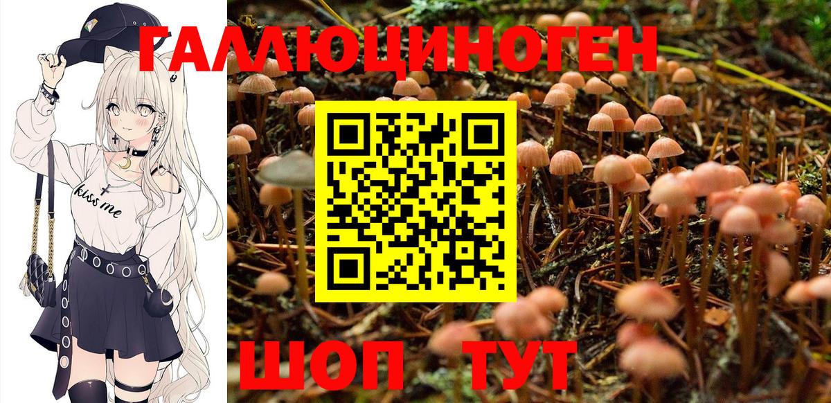 Галлюциногенные грибы Cubensis Кумертау