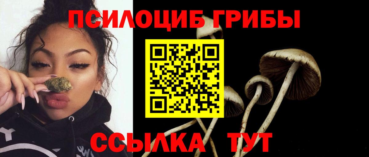 Кумертау  Псилоцибиновые грибы ЛСД  Вход с VPN  Псилоцибиновые грибы MAGIC MUSHROOMS 